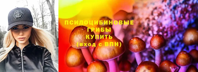 Галлюциногенные грибы Cubensis  Липки 